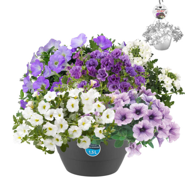 HP3 Hangpot Multimix