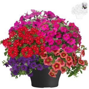 TPMix5 Terraspot 26 cm Mix 5