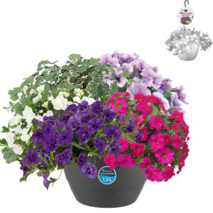 HPMix2 Hangpot 27cm Multi mix 2