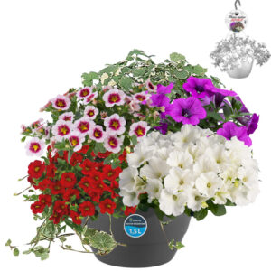 HPMix6 Hangpot 27cm Multi mix 6