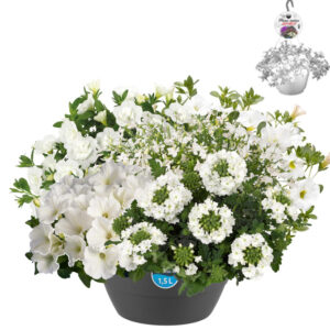 HPMix7 Hangpot 27cm Multi mix 7